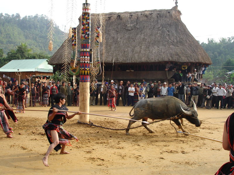 File:Co tu(1)-1-.jpg